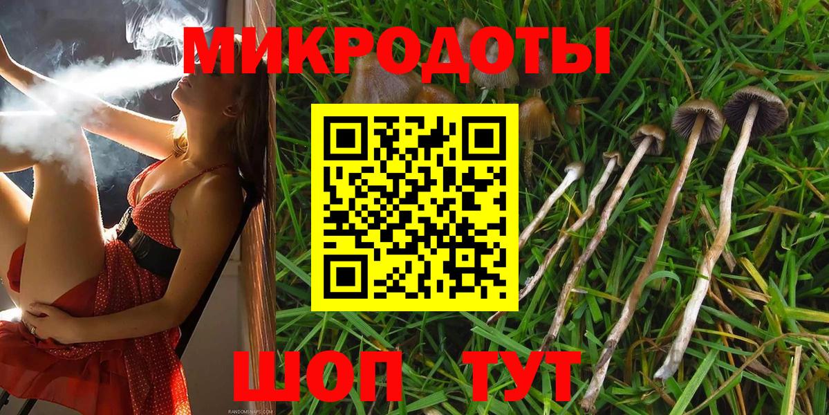 Галлюциногенные грибы ЛСД Удомля