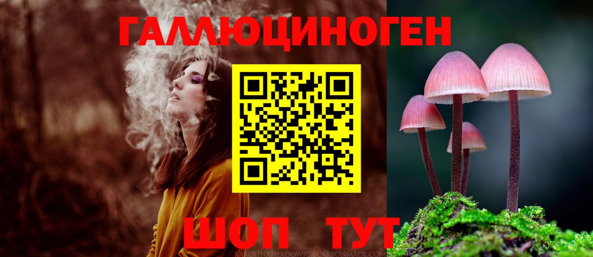 Псилоцибиновые грибы MAGIC MUSHROOMS  Вход с VPN  Удомля 